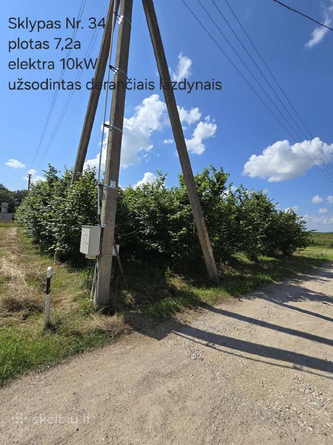 5 sklypai ramiausiuose Liudvinavo soduose - nuotraukos Nr. 14