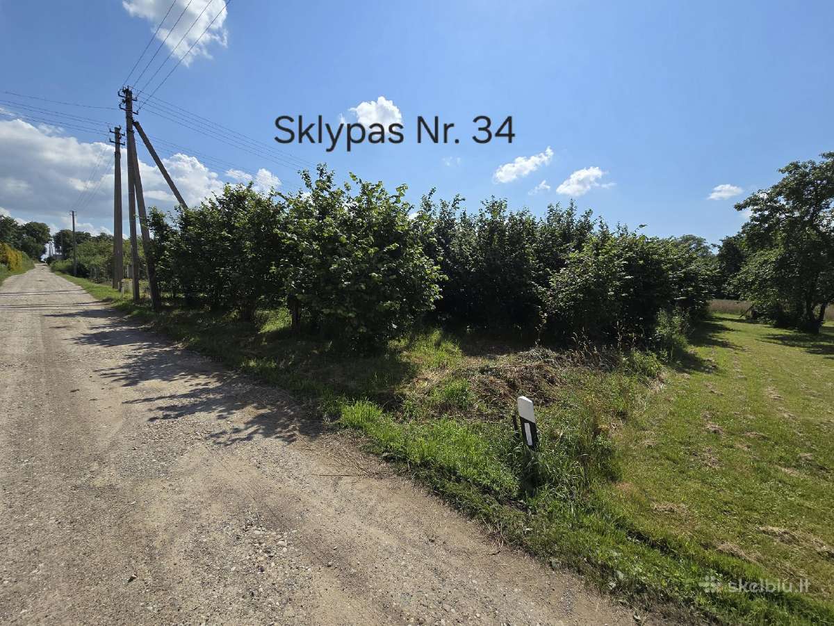 5 sklypai ramiausiuose Liudvinavo soduose - nuotraukos Nr. 15