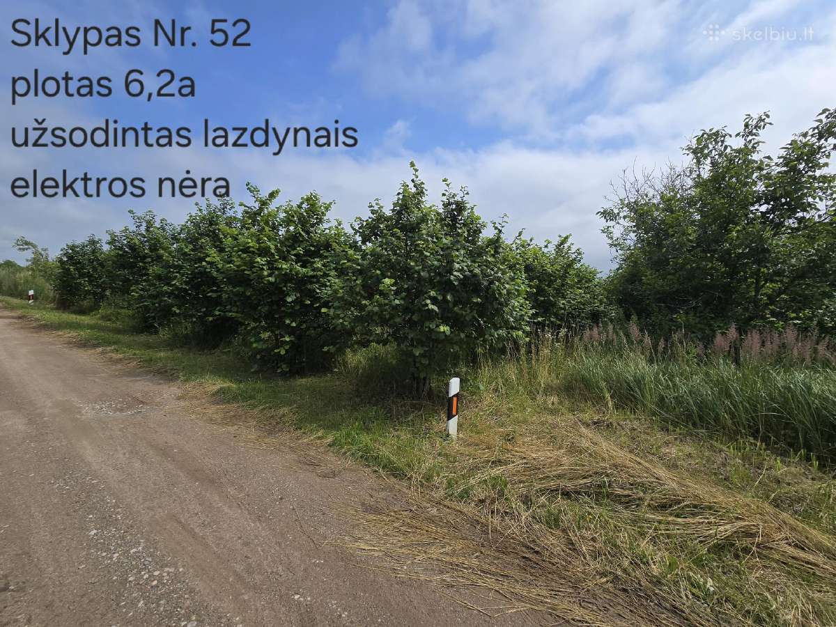 5 sklypai ramiausiuose Liudvinavo soduose - nuotraukos Nr. 16