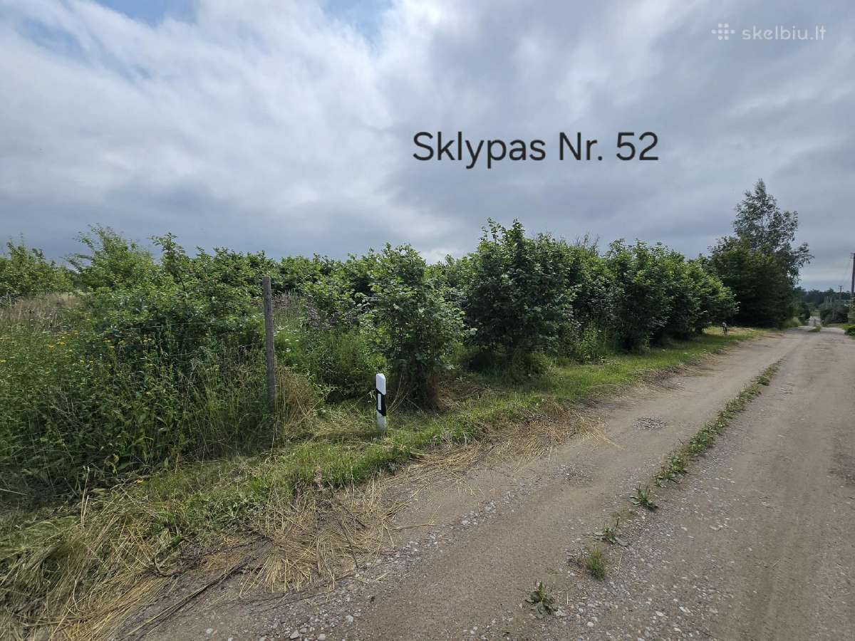 5 sklypai ramiausiuose Liudvinavo soduose - nuotraukos Nr. 17
