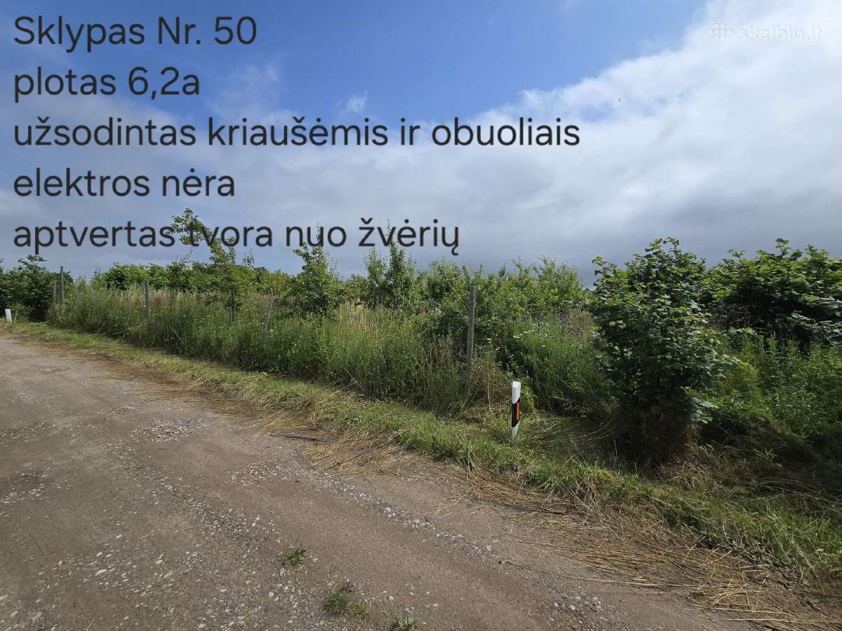 5 sklypai ramiausiuose Liudvinavo soduose - nuotraukos Nr. 18