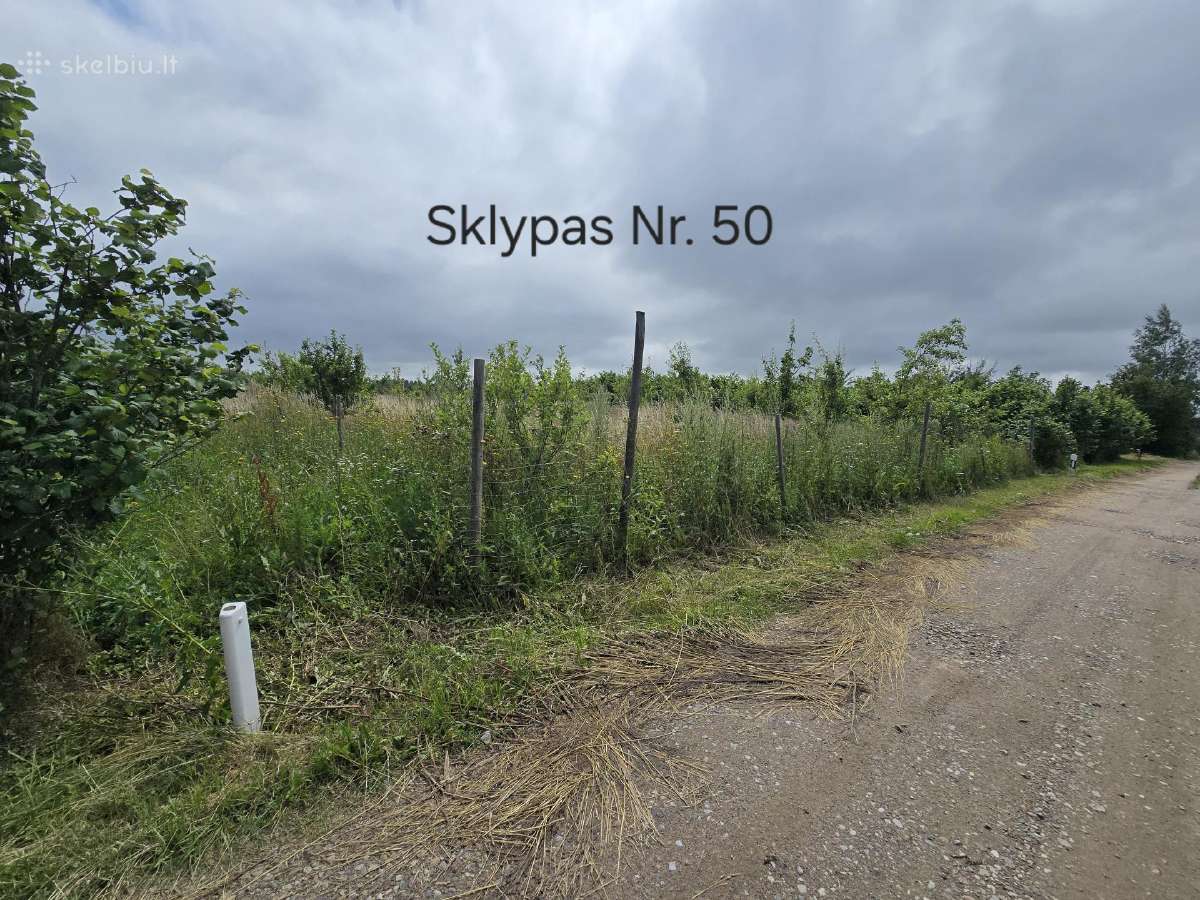 5 sklypai ramiausiuose Liudvinavo soduose - nuotraukos Nr. 19