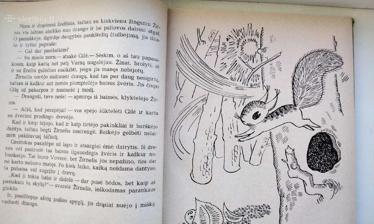 Gilės nuotykiai Ydų šalyje. 1968 m. leid. - nuotraukos Nr. 8