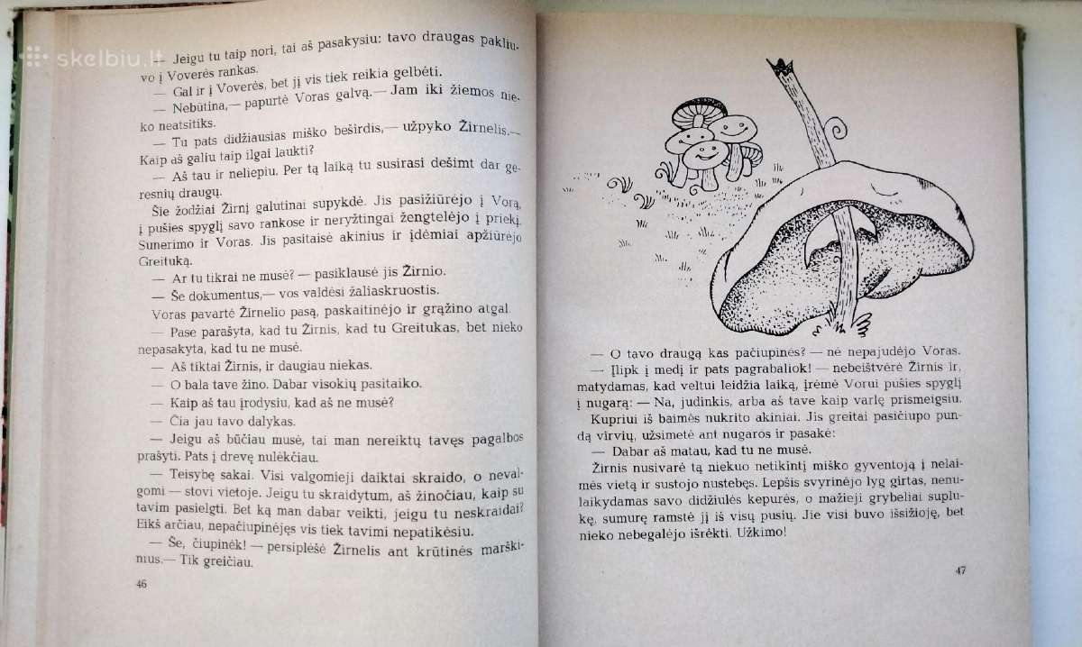 Gilės nuotykiai Ydų šalyje. 1968 m. leid. - nuotraukos Nr. 10
