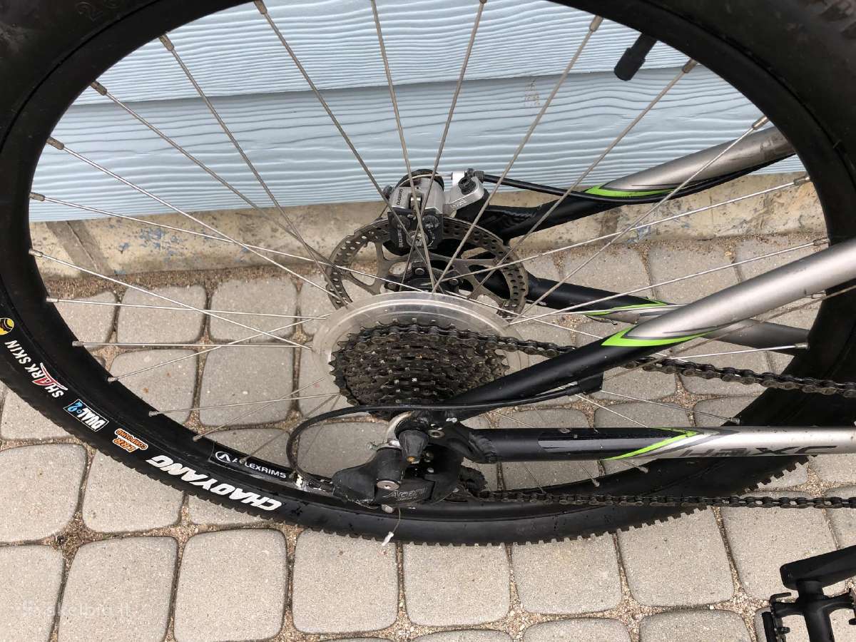 Specialized dviratis - nuotraukos Nr. 3