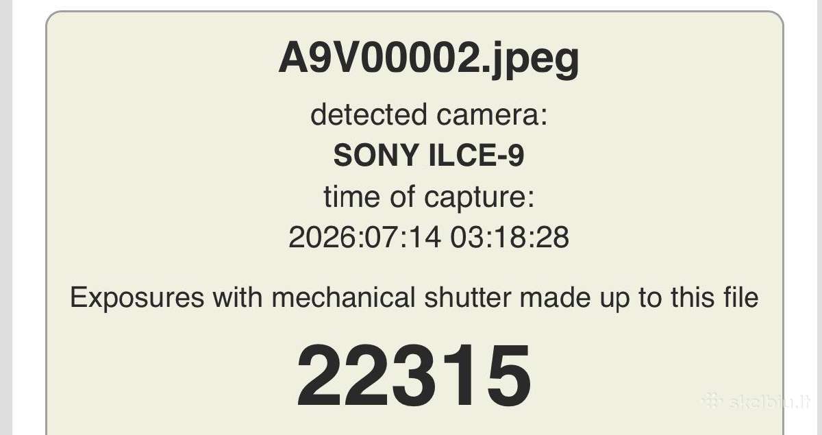Sony A9 + Sony Battery grip - nuotraukos Nr. 11
