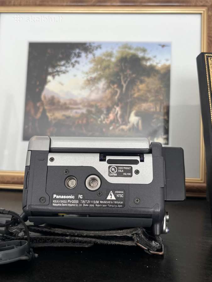 Panasonic camcorder Pv-gs55 - nuotraukos Nr. 7