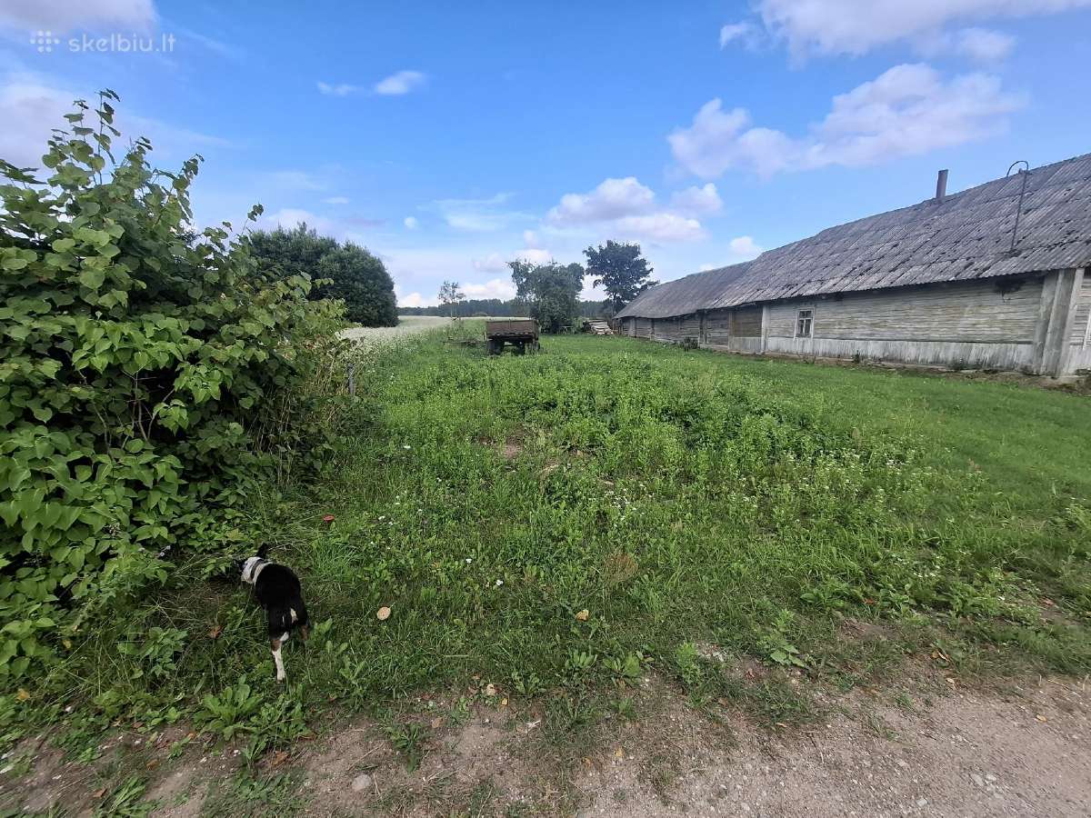 Parduodamas Namų Valdos Sklypas – Šalčininkų R. - nuotraukos Nr. 3