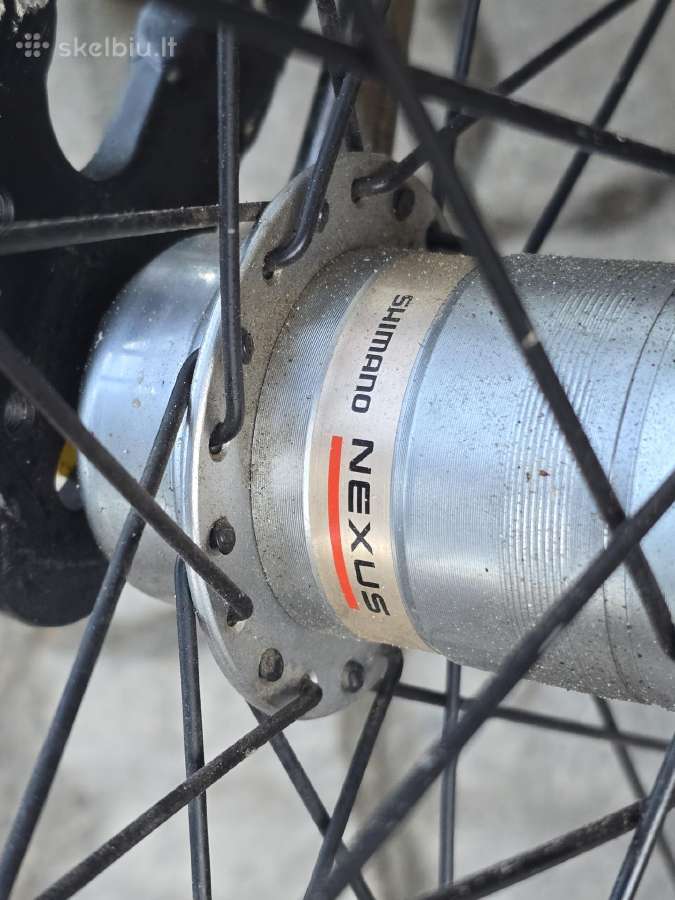 White MTB Lite XXL 20" - nuotraukos Nr. 6