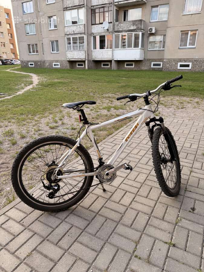 Kalny dviratis Totem - nuotraukos Nr. 6