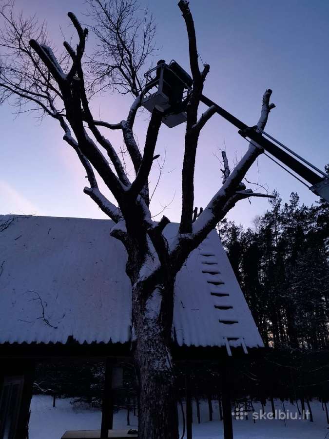 Avarinių medžių pjovimas, gyvatvorių formavimas - nuotraukos Nr. 22