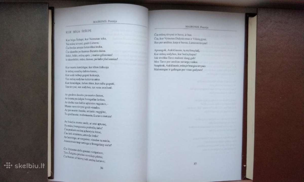 Maironis. Poezija - nuotraukos Nr. 6