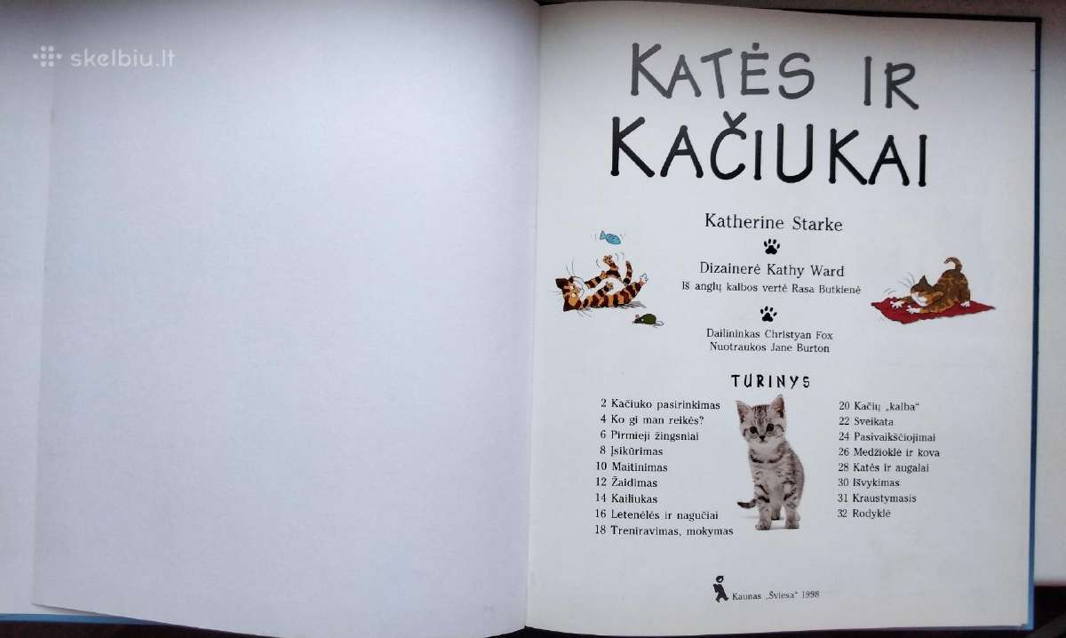 Katės ir kačiukai - nuotraukos Nr. 2