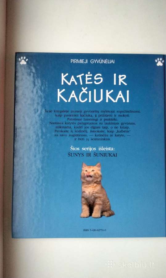 Katės ir kačiukai - nuotraukos Nr. 12