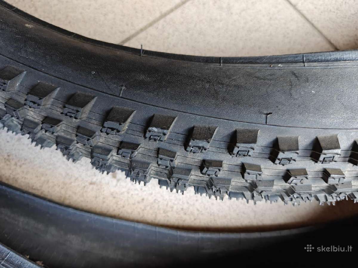 Specialized Ground Control 29x2,35 padangos MTB - nuotraukos Nr. 3
