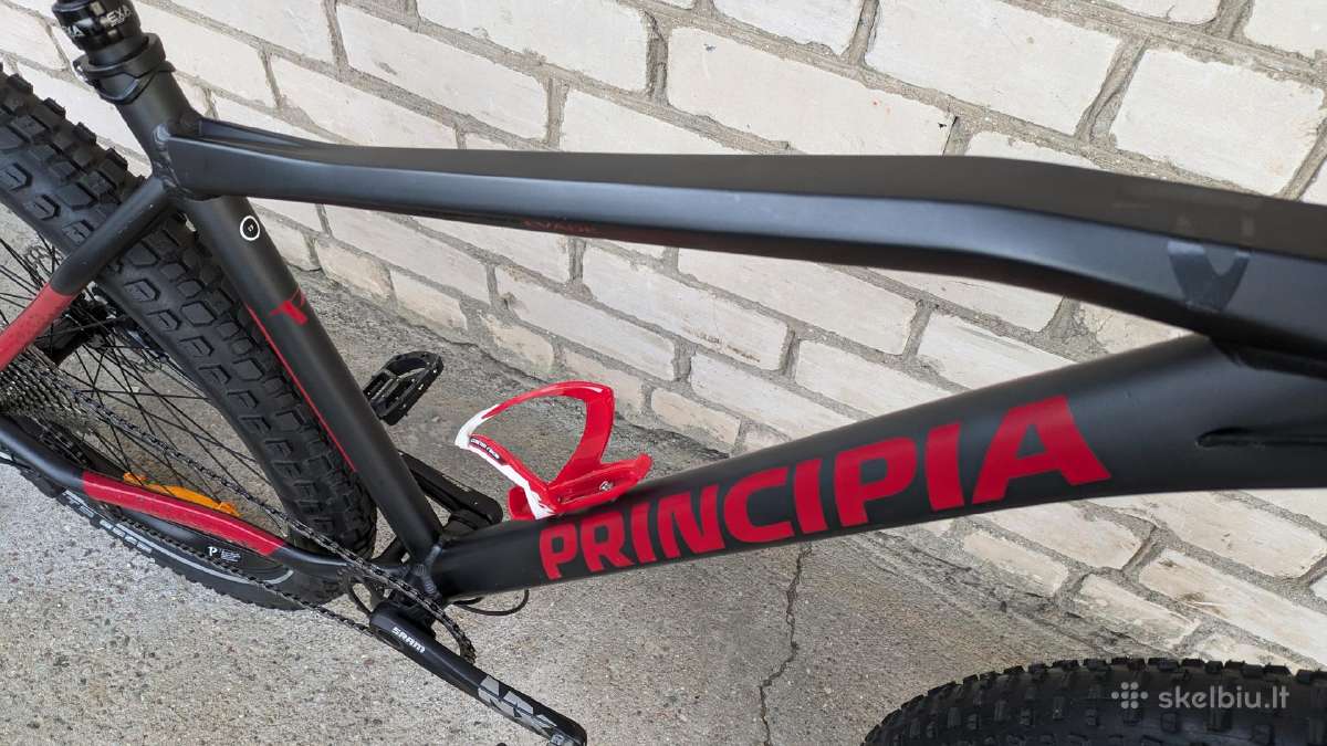 Principia 1x11sp - nuotraukos Nr. 11