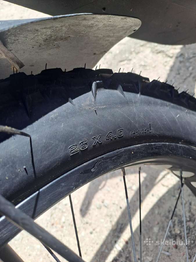 White Fatbike lite - nuotraukos Nr. 8