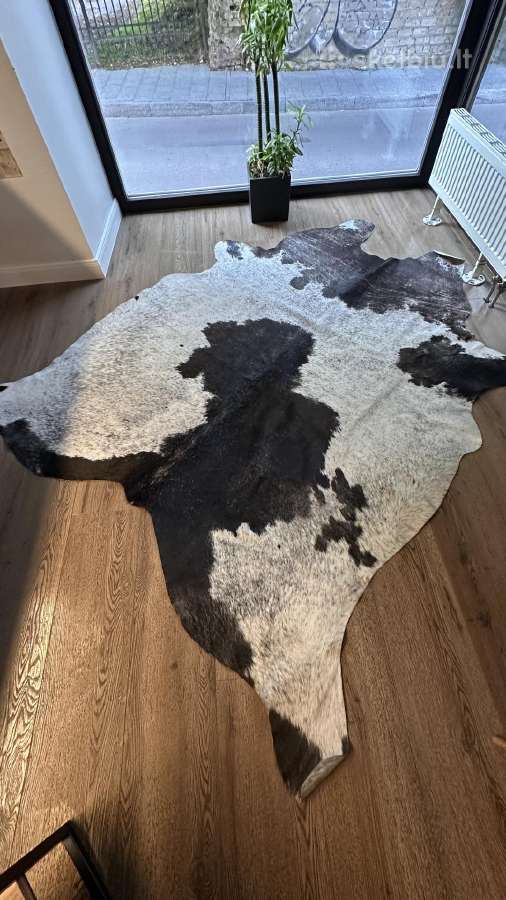 Kailis kilimas apie220x170 - nuotraukos Nr. 2