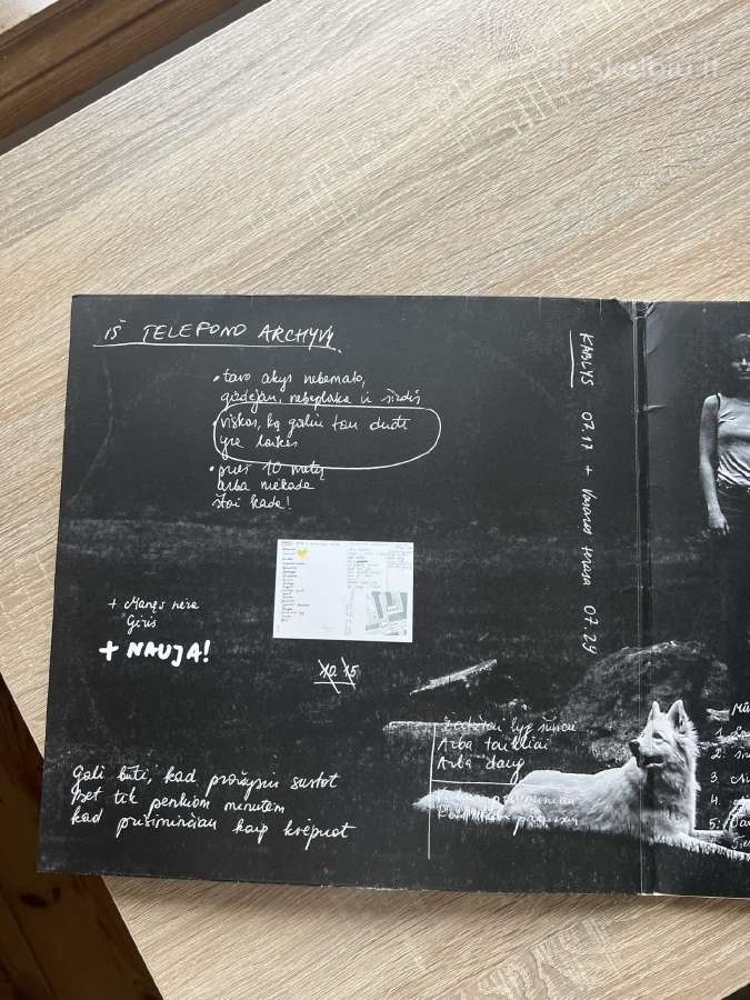 Gabrielė Vilkickytė “Vilko Švelnumas vinilas - nuotraukos Nr. 4