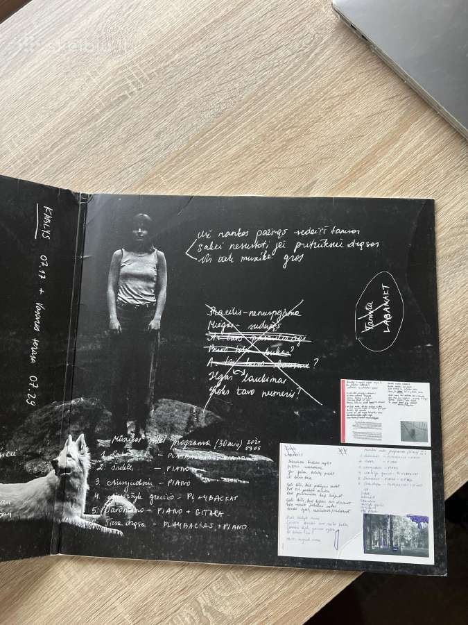 Gabrielė Vilkickytė “Vilko Švelnumas vinilas - nuotraukos Nr. 5