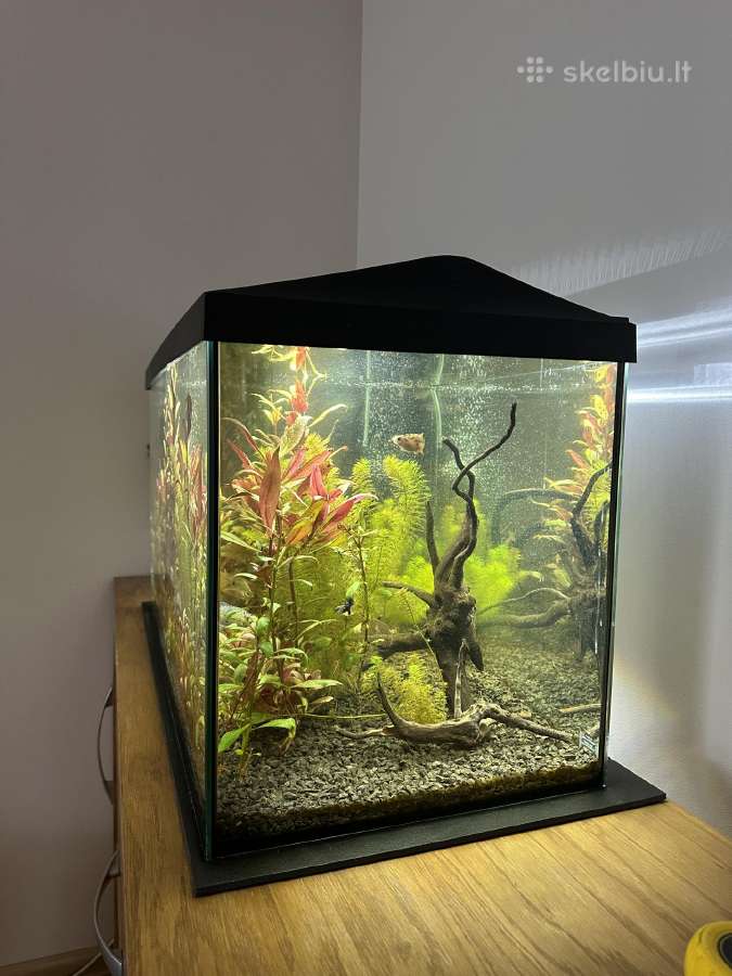 Aquael leddy 75 akvariumas - nuotraukos Nr. 2