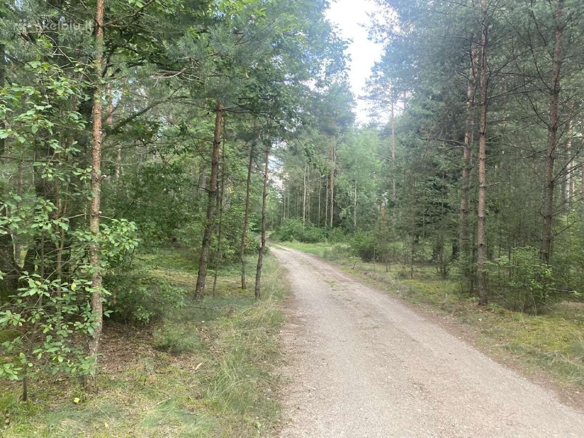 Parduodamas sklypas, ribojasi su Grūdos upe - nuotraukos Nr. 4