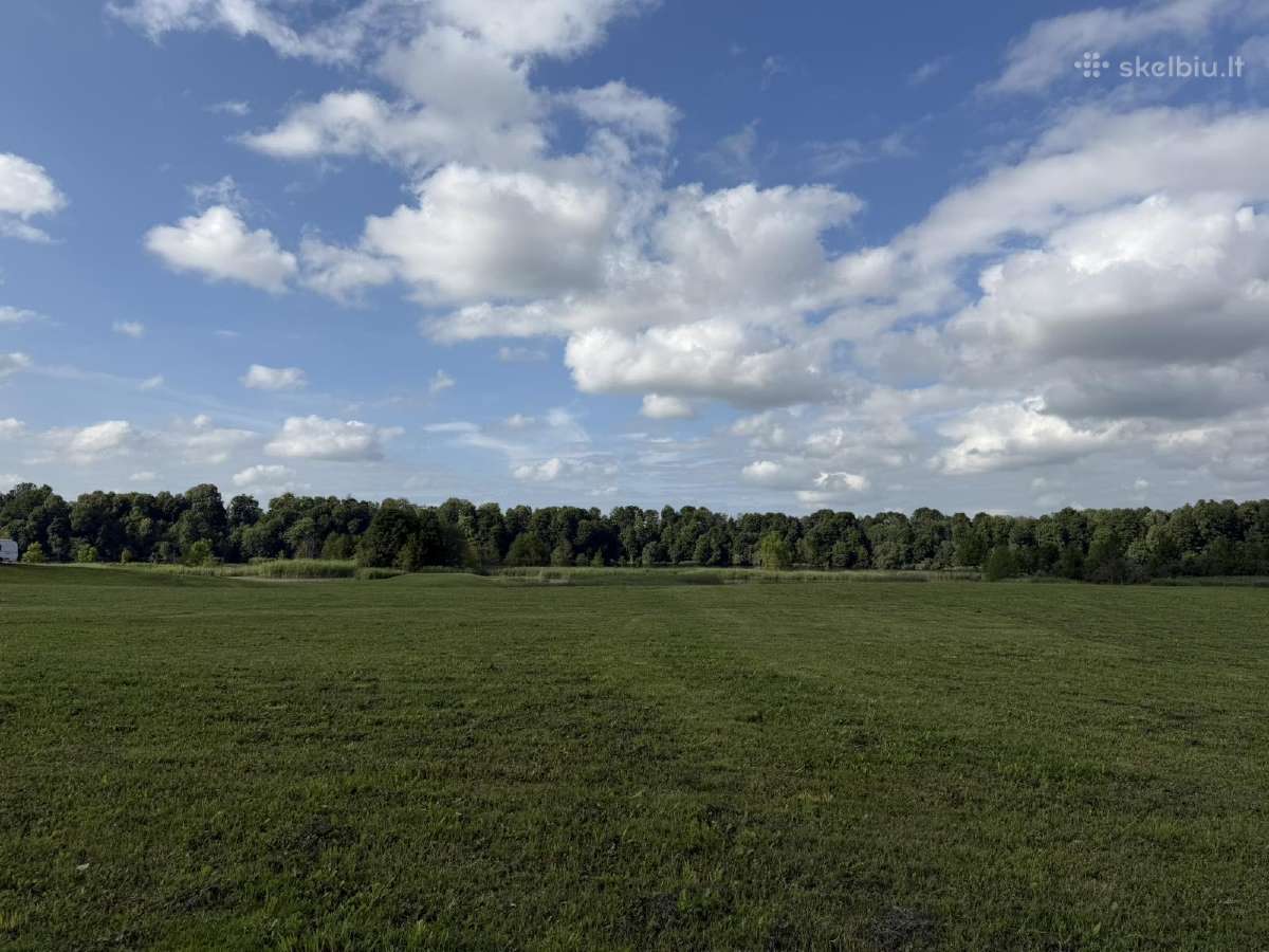Parduodamas išskirtinis 67 arų namų valdos sklypas - nuotraukos Nr. 15