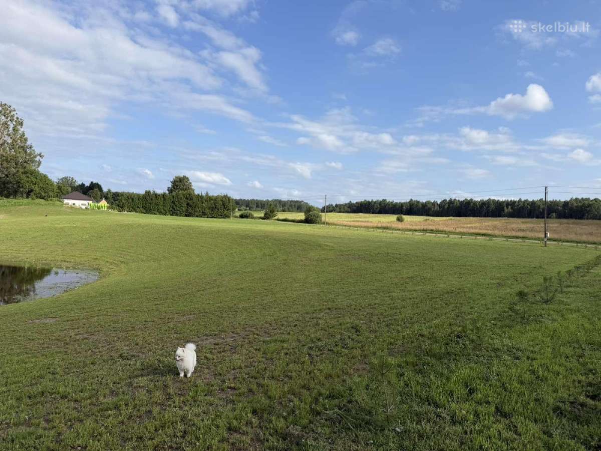 Parduodamas išskirtinis 67 arų namų valdos sklypas - nuotraukos Nr. 25