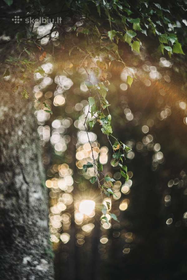 Helios-44-2 Belomo M42 - nuotraukos Nr. 21