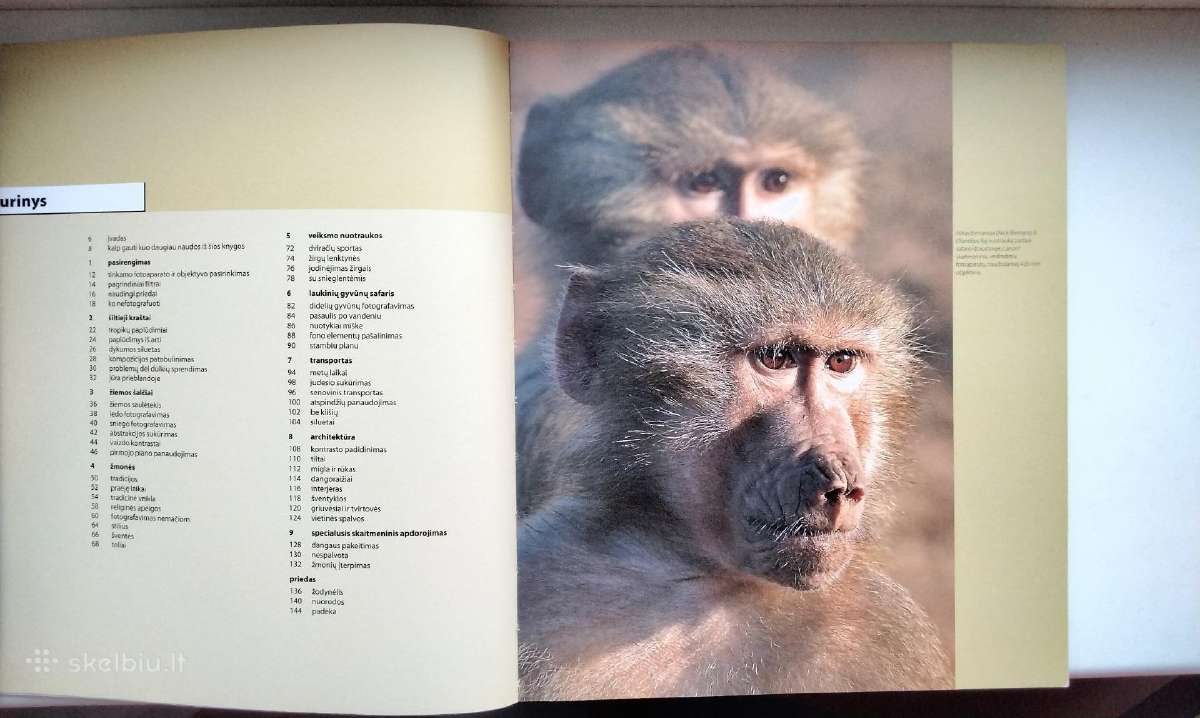 Kaip fotografuoti kelionėse - nuotraukos Nr. 3