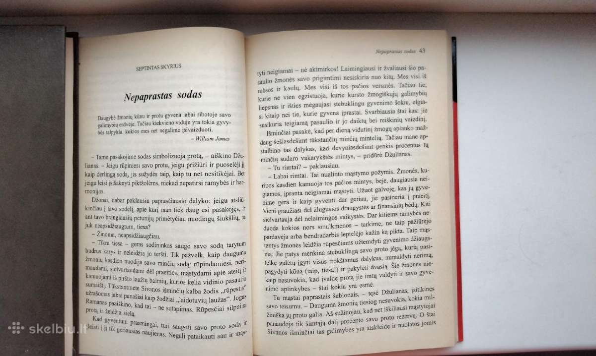 Vienuolis, kuris pard Ferrarį. Šeimos išminties pa - nuotraukos Nr. 10