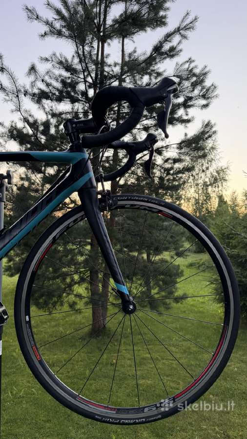 Merida Scultura 5000 – karboninis rėmas – Shimano - nuotraukos Nr. 5