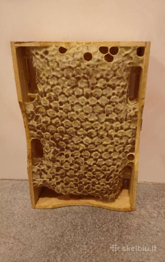 Medus, pikis (propolis), bičių duonelė, vaškas - nuotraukos Nr. 5