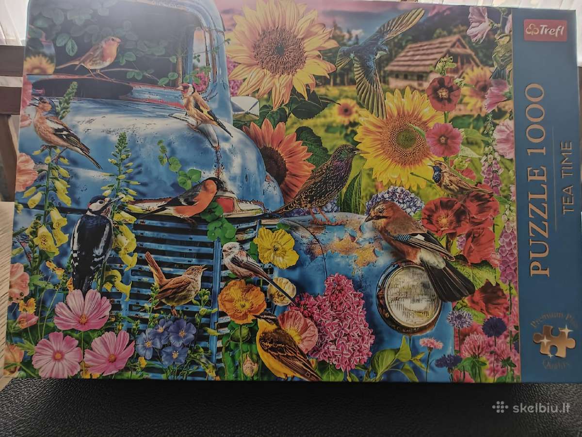 Puzzles arba dėlionės - nuotraukos Nr. 15