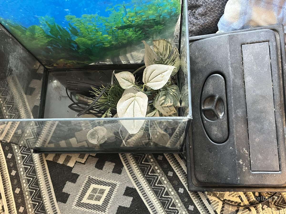 Parduodu akvariumą yra 2vnt 20l 40l - nuotraukos Nr. 3