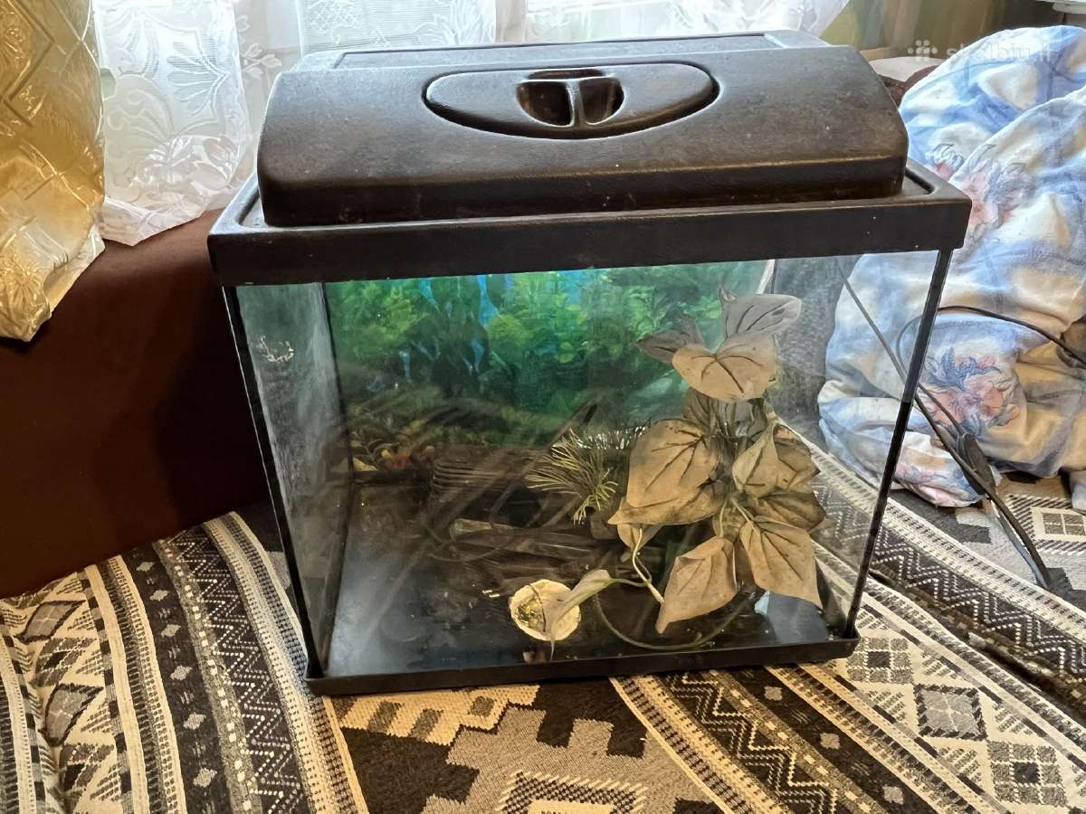 Parduodu akvariumą yra 2vnt 20l 40l - nuotraukos Nr. 4