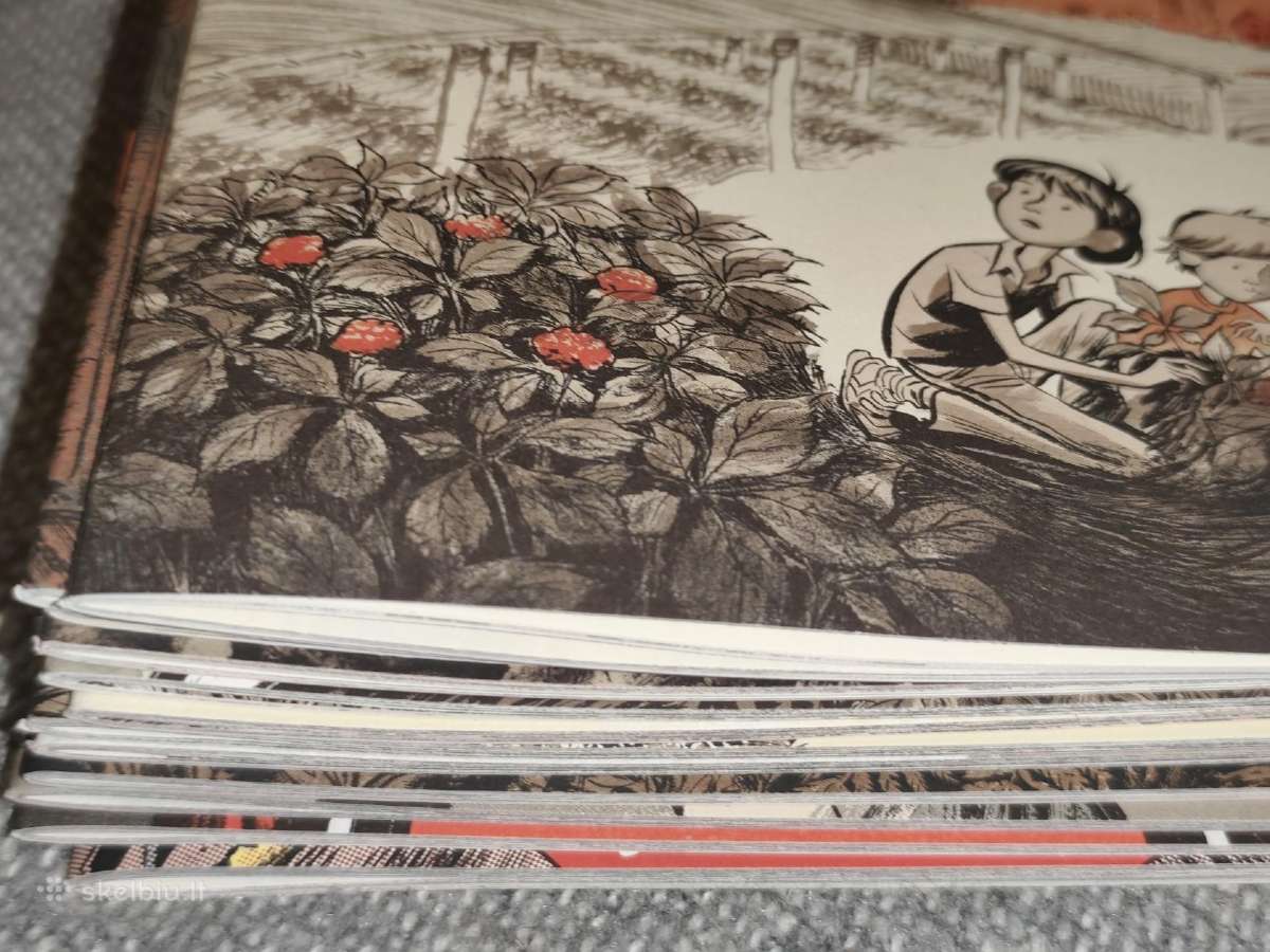 Ginseng Roots By Craig Thompson Complete Box Set - nuotraukos Nr. 5