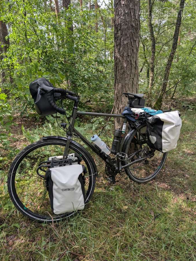 Fuji Touring Disc 2021 turistinis dviratis - nuotraukos Nr. 12