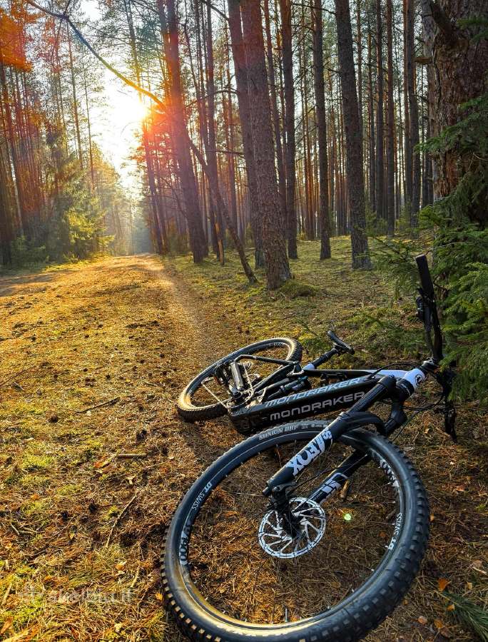 Elektrinis kalnų dviratis Mondraker Crafty R e-MTB - nuotraukos Nr. 2