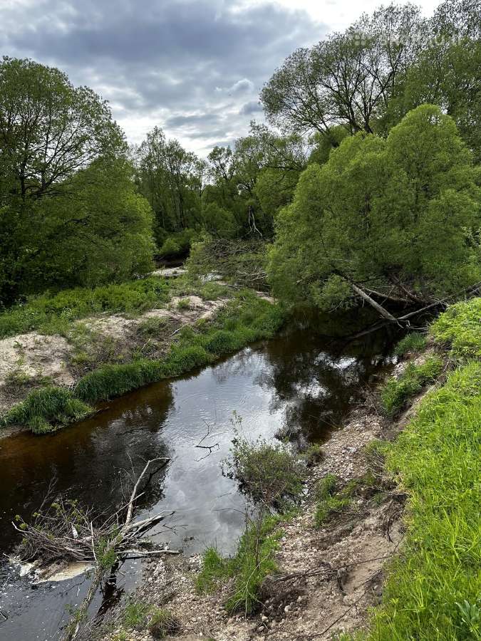Parduodama Sodyba iki Palangos 25 km - nuotraukos Nr. 5