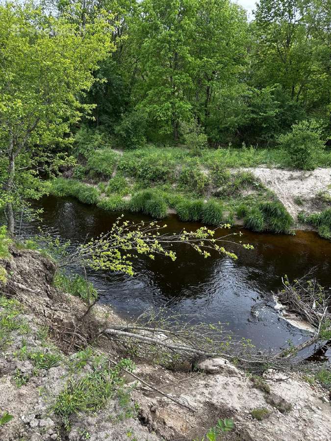 Parduodama Sodyba iki Palangos 25 km - nuotraukos Nr. 6
