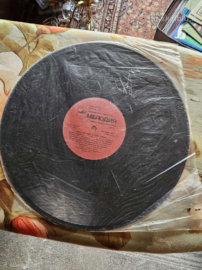 Vinilai - nuotraukos Nr. 9