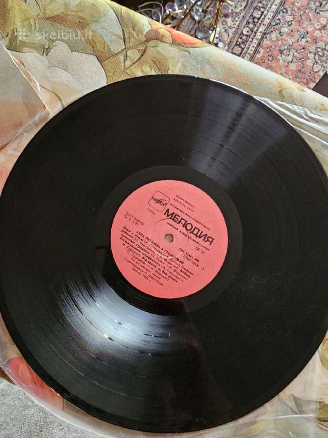 Vinilai - nuotraukos Nr. 11