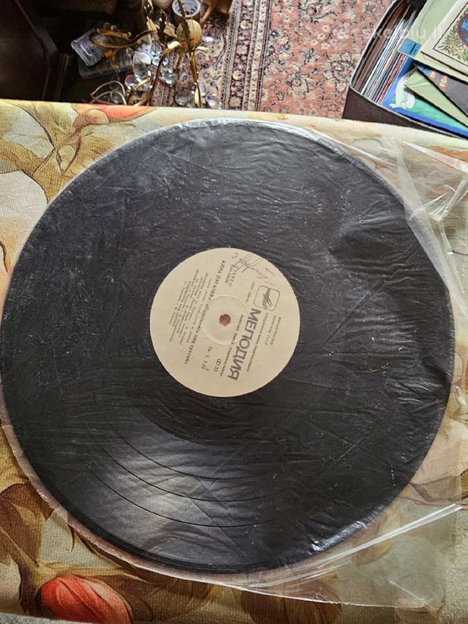Vinilai - nuotraukos Nr. 14