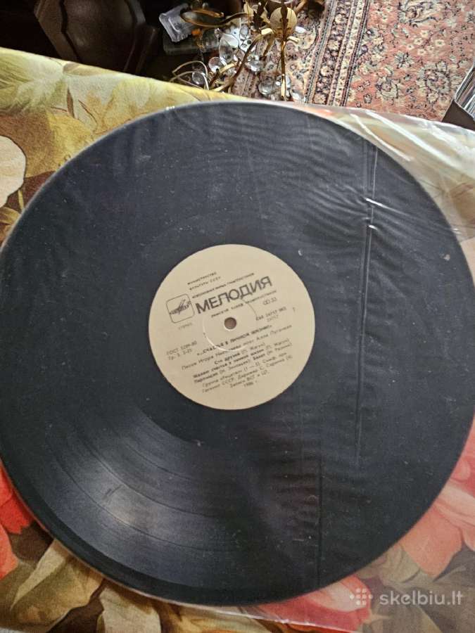 Vinilai - nuotraukos Nr. 18