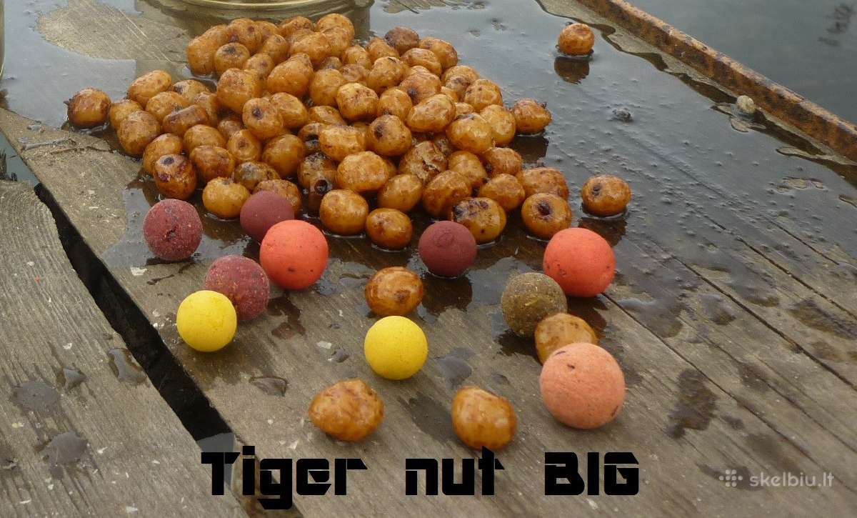 Tigriniai riešutai Big - nuotraukos Nr. 3