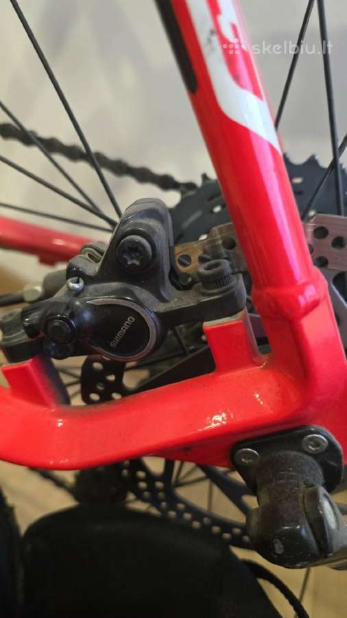 Wilier - nuotraukos Nr. 3