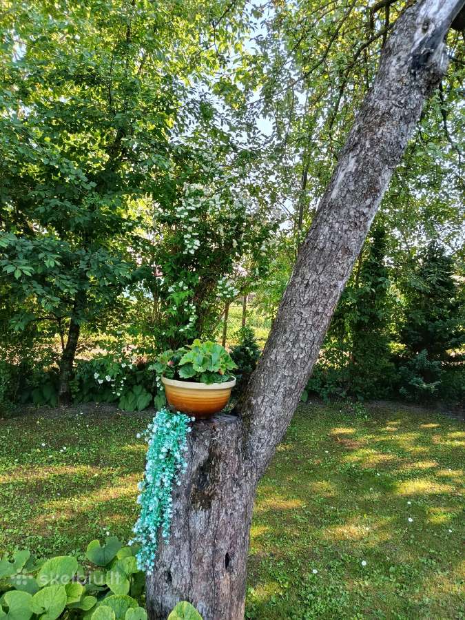 Parduodamas namas sodo sklype - nuotraukos Nr. 6