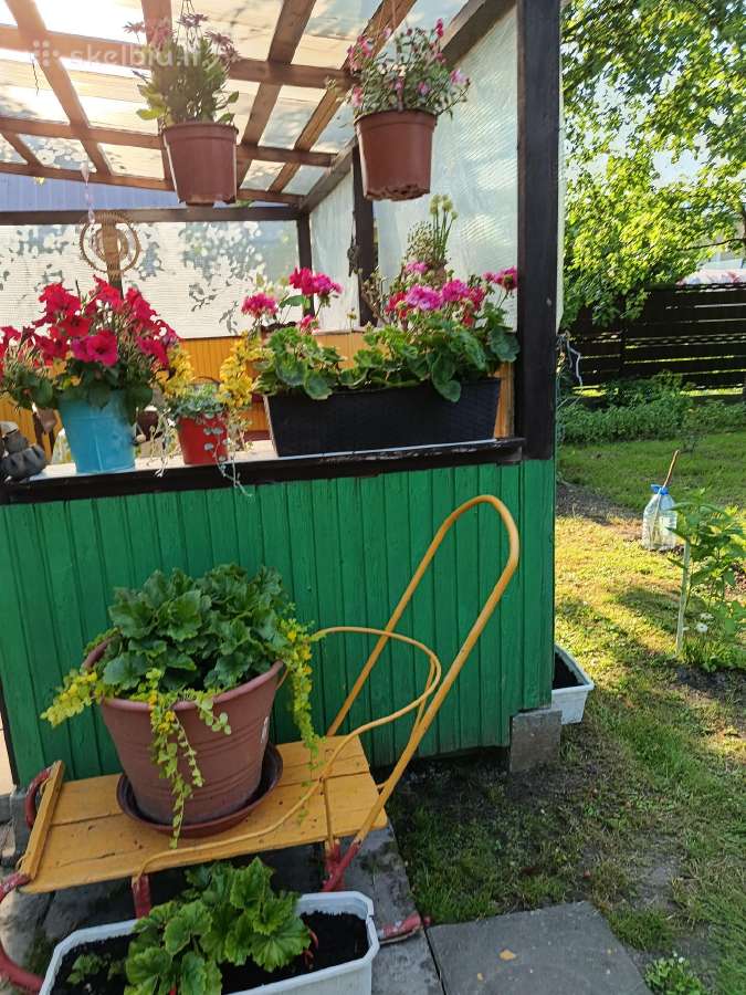 Parduodamas namas sodo sklype - nuotraukos Nr. 12