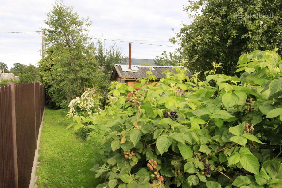 Parduodamas namas sodo sklype - nuotraukos Nr. 33